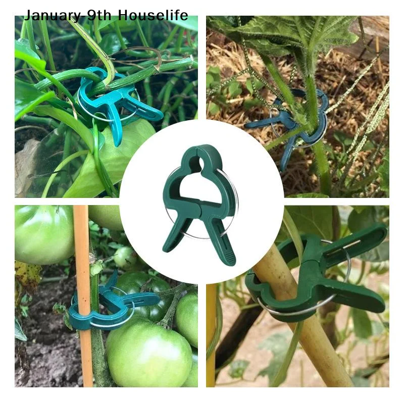 Plant Fixed Clips Reusable Gar - Vine Climbing Plastic 评论和价格
