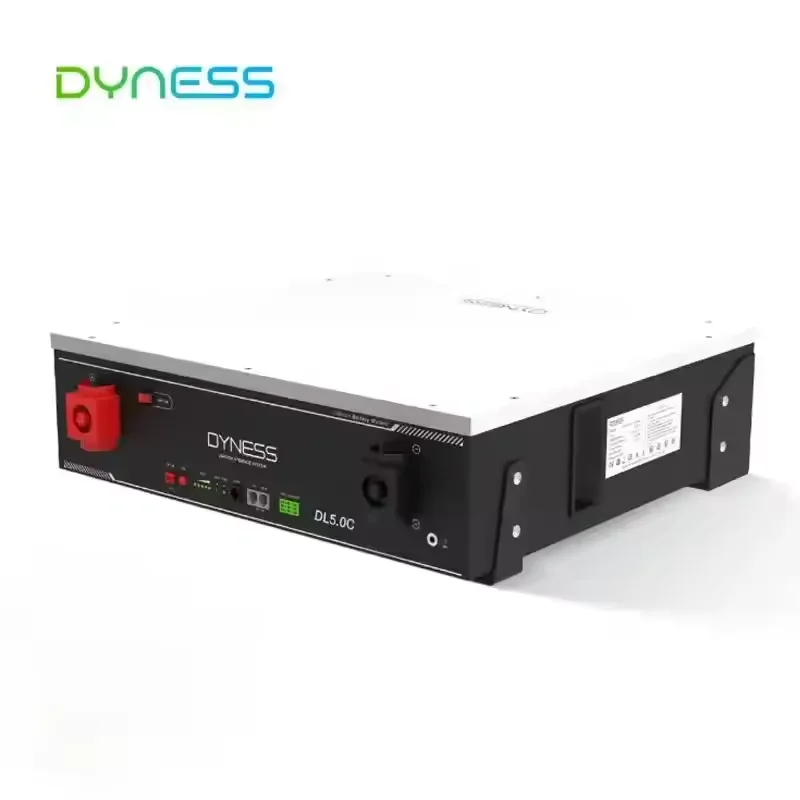 New Low Voltage Dyness Solar Cell 51.2v 100ah Lifepo4 Battery New Home DL5.0C 6000 Cycles