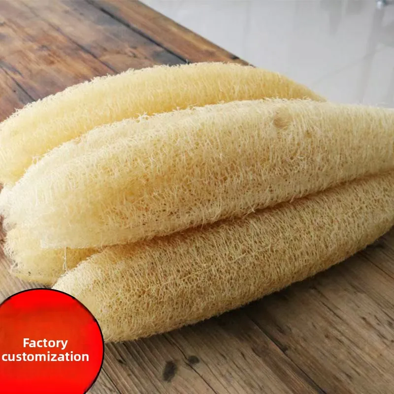 

Planting base loofah, old loofah flesh brush pot wash dishes, clean scouring cloth bath rub back bath