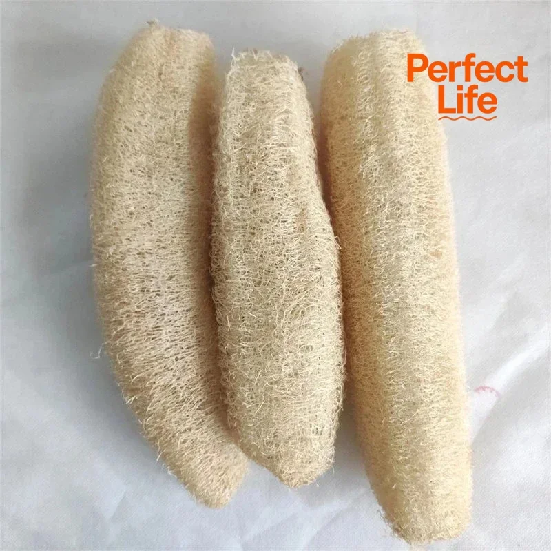 1/2pcs Wash Body Scrubber Spa Natural Loofah Multi-purpose Cleaning Tool for Kitchen Bathroom Scrubber For Daily Cleansing
