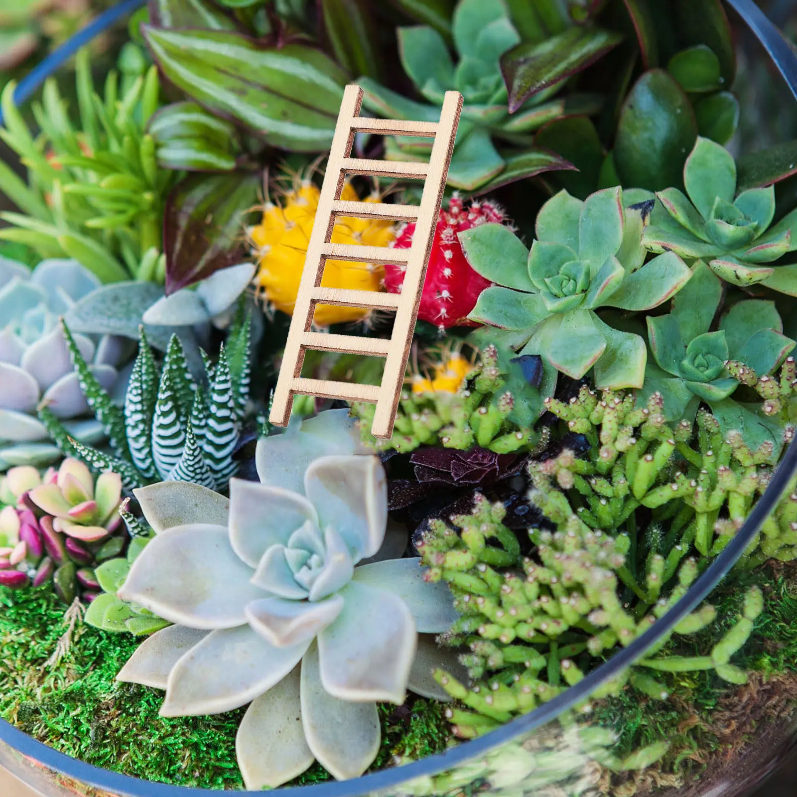 

20Pcs Wooden Stair Decor Miniature Rustic Ladder for DIY Fairy Garden Sand Landscape Display Dollhouse Accessories Home Office