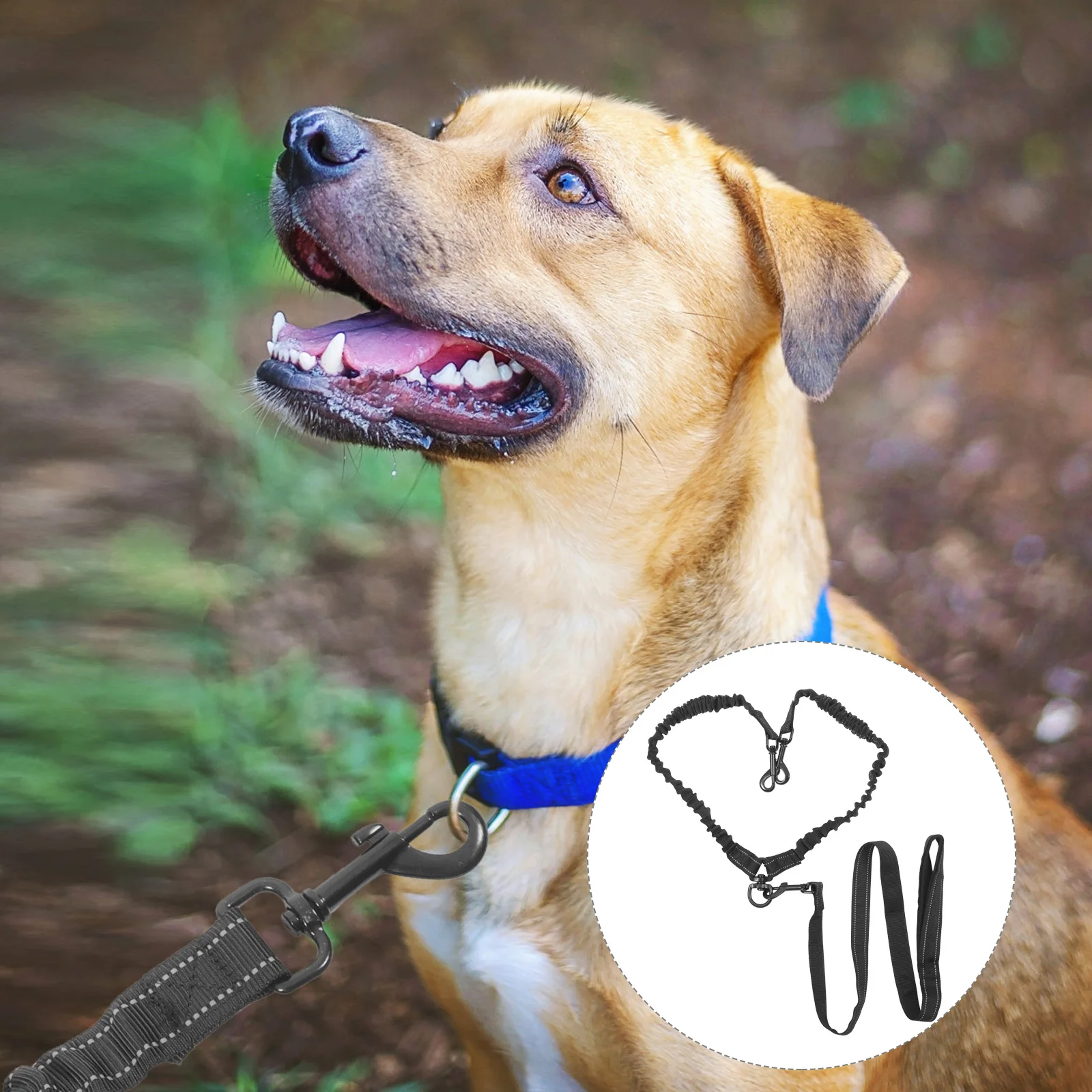 

Hands Free Dog Walking Leash Reusable Reflective Pet Traction Rope for Running Training Lightweight Durable Nylon Lead for Small