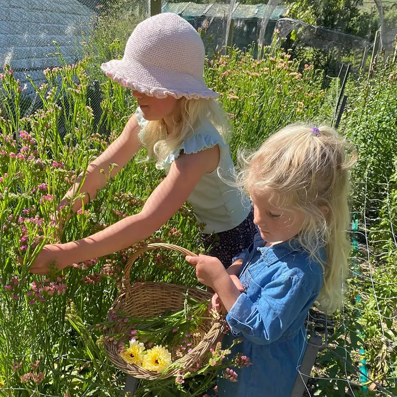 大人のためのプロのフラワープレスキット,DIY, 30x21cm,ドライフラワーアートの製造