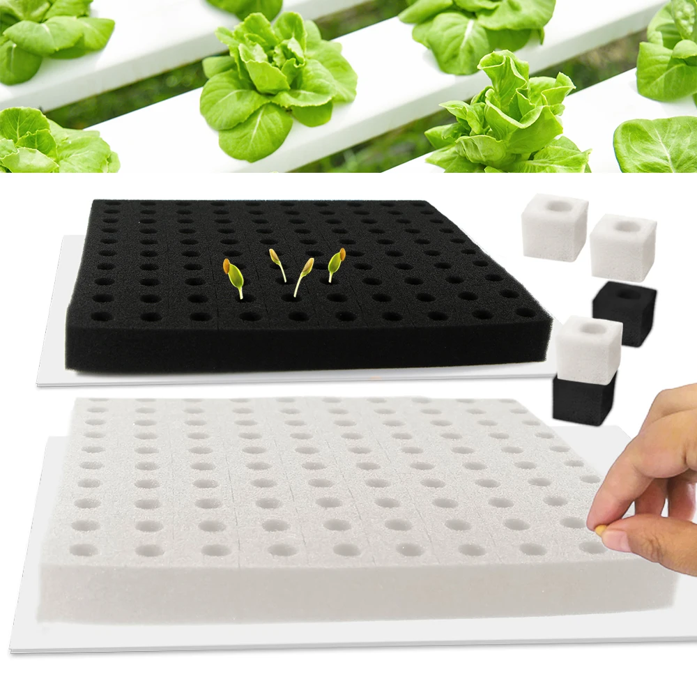 Hydroponic Sponge Planter Tool Square Seedling Sponge Garden Greenhouse Soilless Cultivation Small Bud Grow Water Retention Foam
