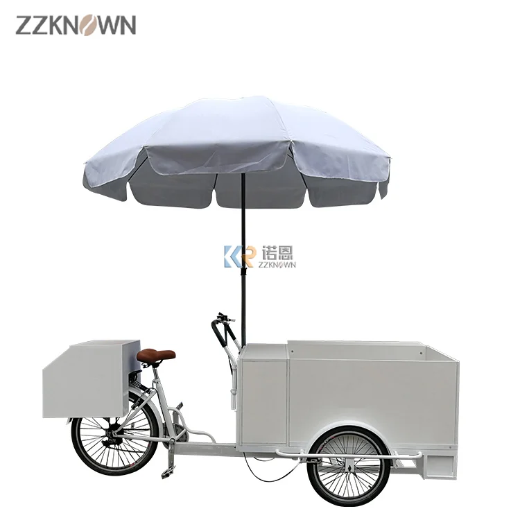 250w 36V 13A Pedal Assist Electric Tricycle Ice Cream Freezer Bike with Sink