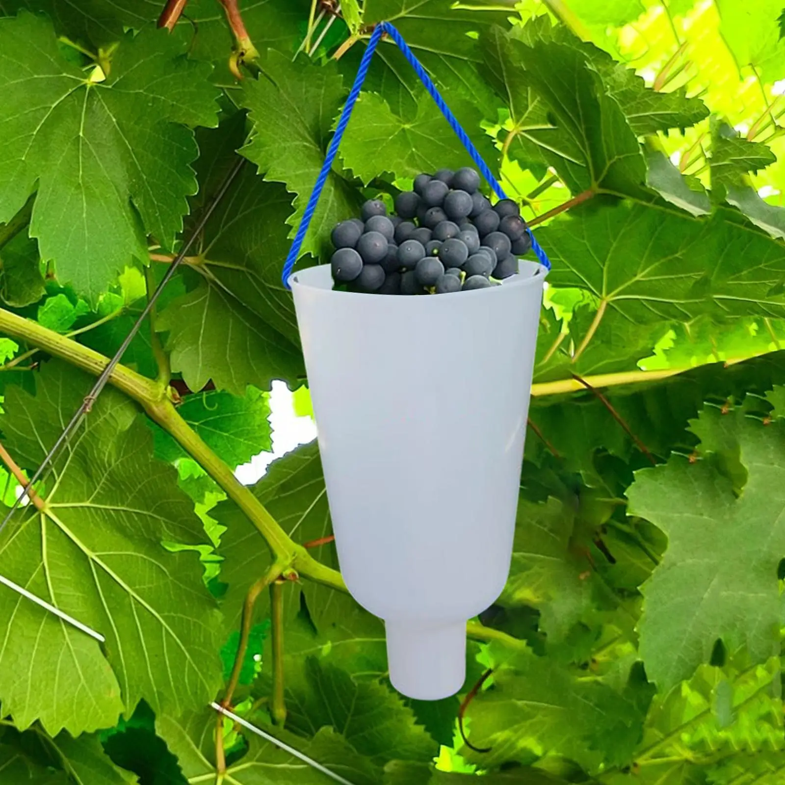 PP Grape Container Dipping Cup Practical Fruit Soaking Container with Rope for Home Orchard Farm Maintenance