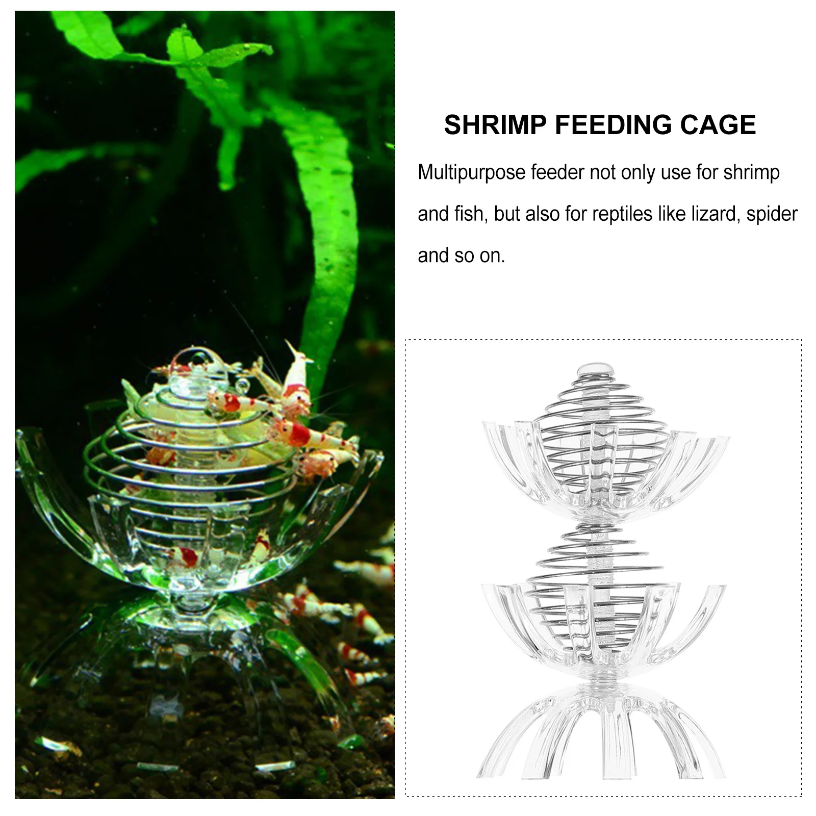 

1Set Aquarium Feeder Cage High Brightness Smooth Design Shrimp Feeder for Fish Reptile Pet Feeding Tank Landscape Enhancement