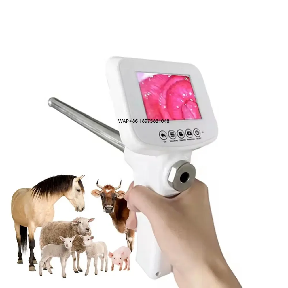 Artificial intelligence equipment Cow artificial intelligence withDigital vision artificial insemination