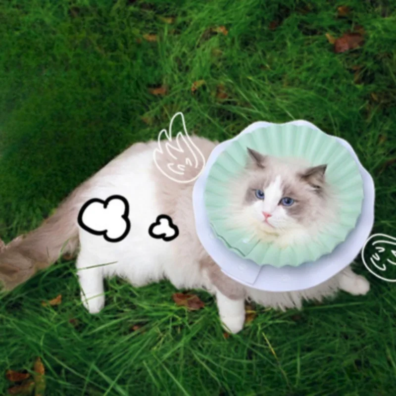 

Cat EVA Elizabeth Collars Anti-seismic Portable Pet Neuter Sick Accessories Collar Easy Wear Safety Comfortable Pet Products