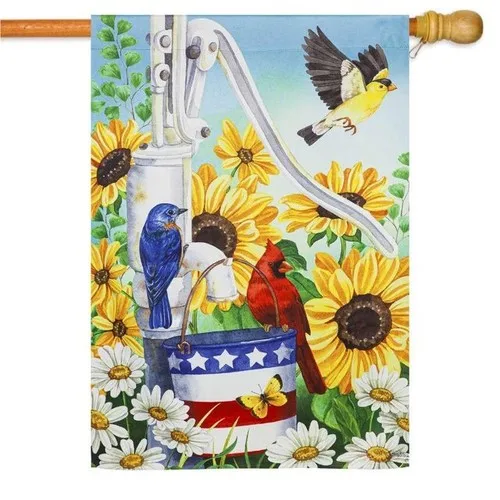 Patriotic Pump Suede House Flag 29 x 43 UUI GGX