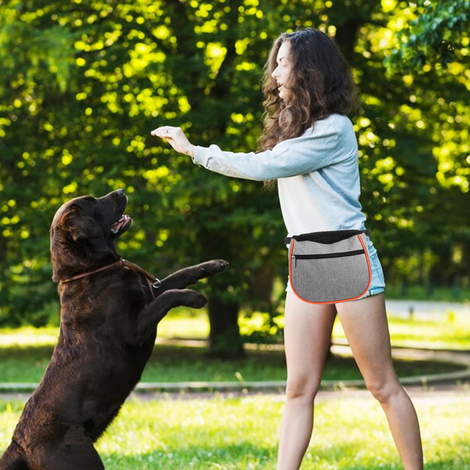 

Dog Training Bags Waterproof Zippered Container Outdoor Food Pouch Water Proof Zippered Bag Puppy Cat Waist Pack Pet Supplies
