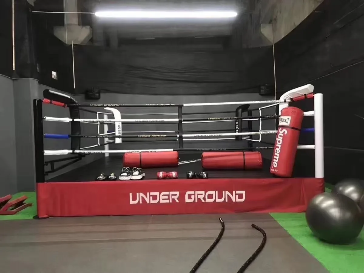 Good Price Custom Logo Professional Boxing Ring Mini 4x4 Professional Kick Boxing Ring