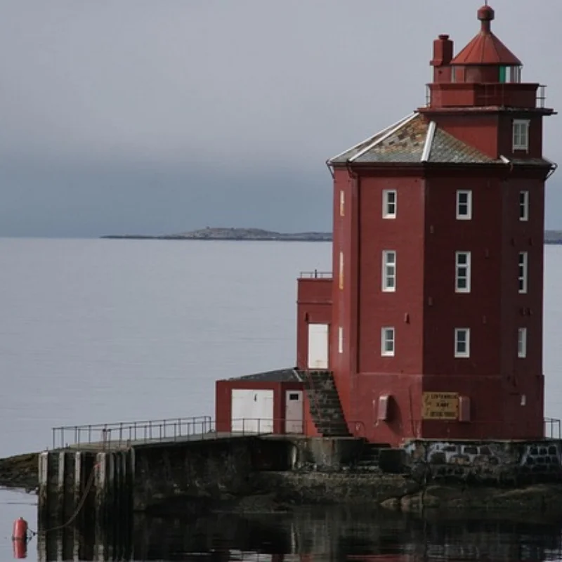 119 мм 1,9-дюймовые резиновые шины для колес, шины для восхождения для 1/10 RC гусеничного автомобиля, осевой SCX10 90046 TRX4 Redcat Gen8