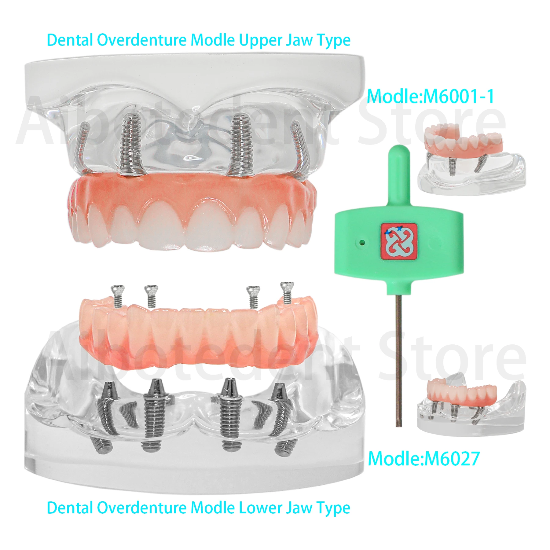 Dental Teeth Model All-on-4 Overdenture Implant Model Upper/Lower Jaw-Clear With 4 Screw M6001-1 M6027