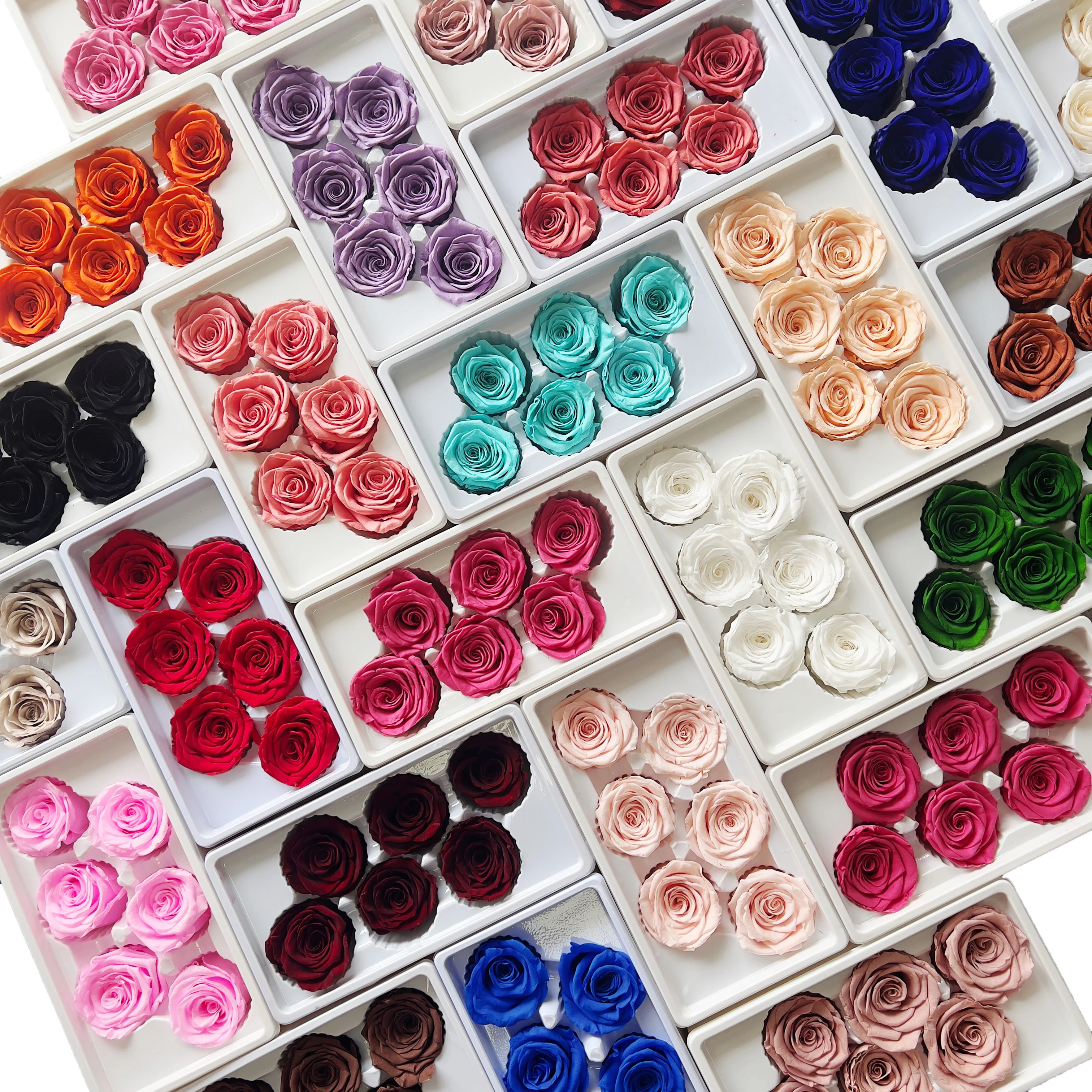 Cabeza de rosa Natural preservada de grado B, 5-6cm, flores rosas reales frescas, duraderas flores inmortales, decoración de boda, floristería, materiales DIY