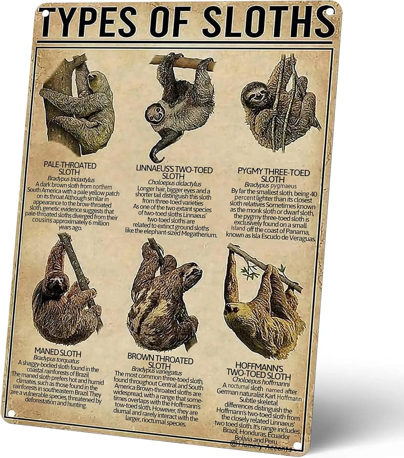 Vintage Farm Decor Tin Sign, Educational Types Of Sloths Metal Poster, Kids Rooms, Classrooms, and Rustic Home Wall Art Dec sign