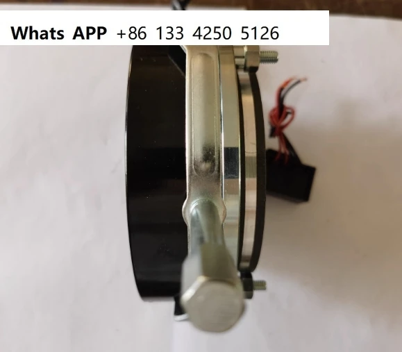 DZS-05/08/15/30/40/80/150/200 전력 브레이크 모터 브레이크의 전자기 손실