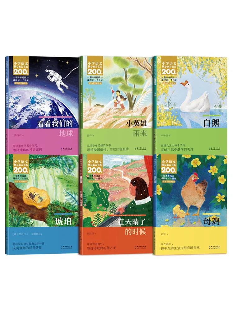 Book-Winshare Primary School Chinese Core Competency Book Series Grade 4 Volume 2 Plastic Coated Set Of 6 Books