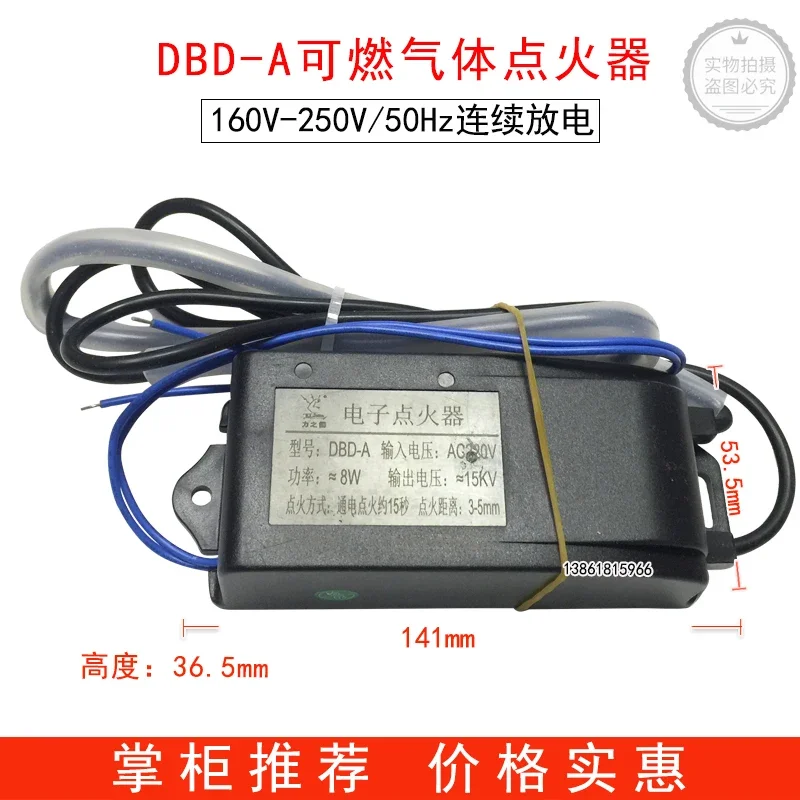 DBD-A combustible gas igniter 160V-250V/50Hz continuous discharge DBD-A igniter commercial furnace