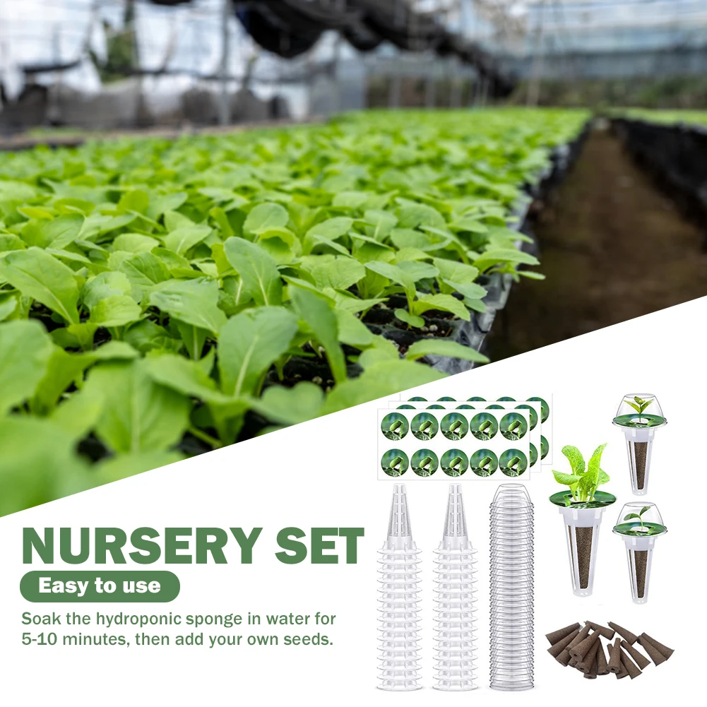 Transparent Hydroponic Trays Multifunctional Set Seedling Germination Box Plastic Convenient Observation for Greenhouse Supplies