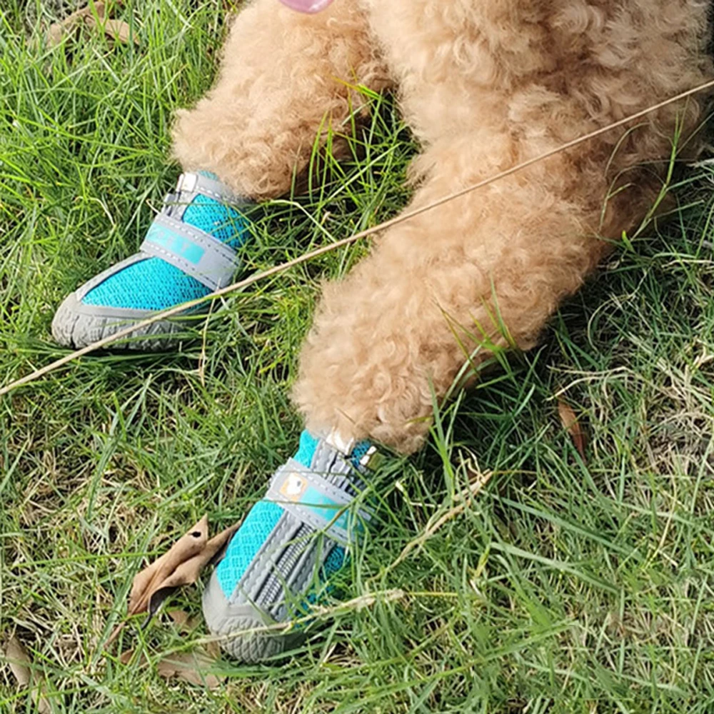 Thumbnail 2 - #65 Best Dog Boots to Buy In 2026