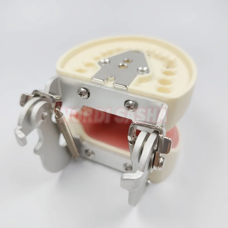 Thumbnail 4 - #57 Dental Teaching Models List of Top Picks