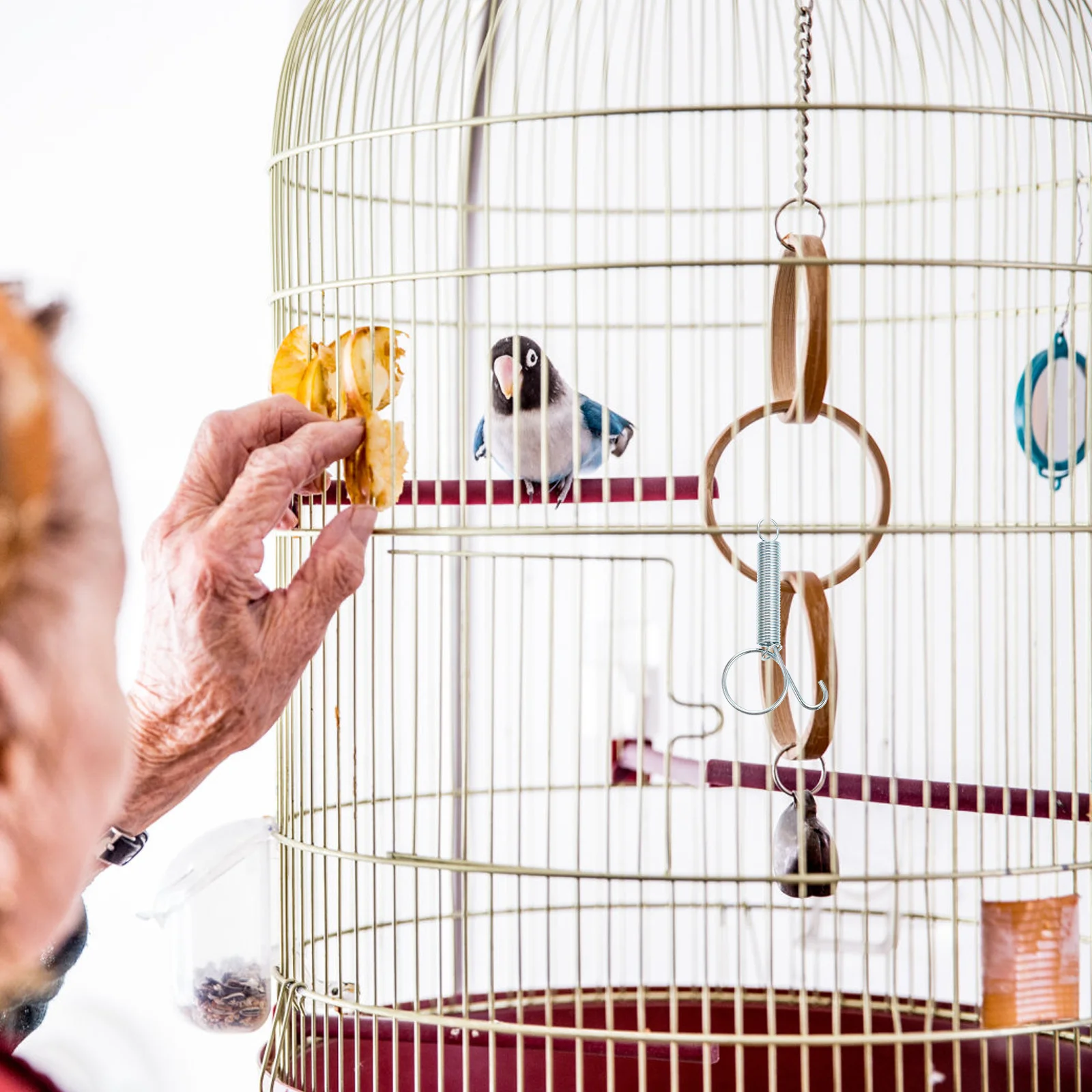 

10Pcs Spring Latch Hook for Animal Cages Rustproof Door Fastener for Rabbit Chicken Bird Cage Secure Locking Simple