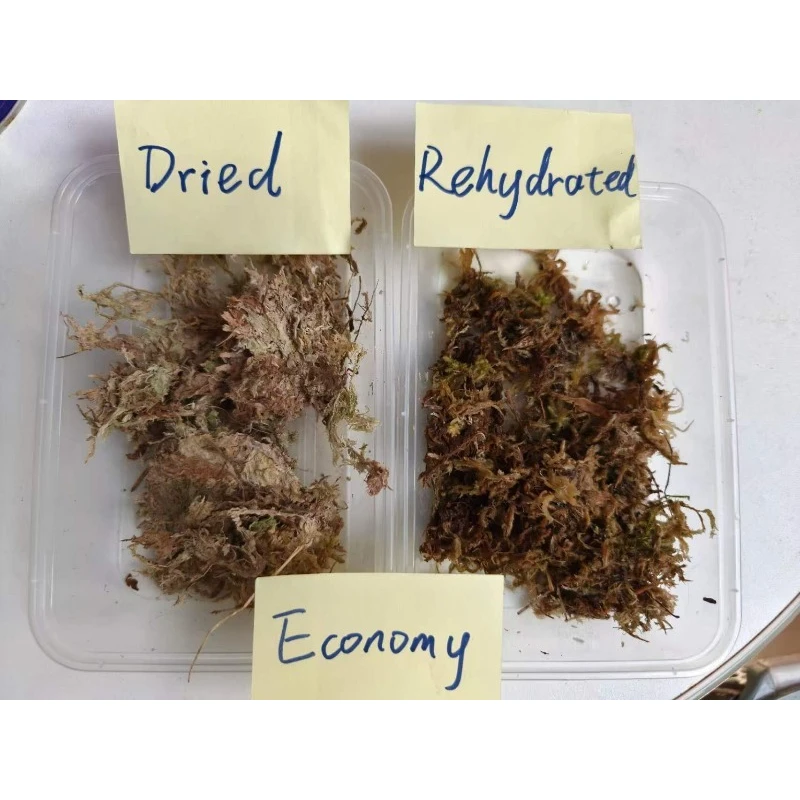 Premium-Sphagnummoos für Orchideen, komprimierter Block, Terrarium-Bodenbelag für Reptilien – Detail 5