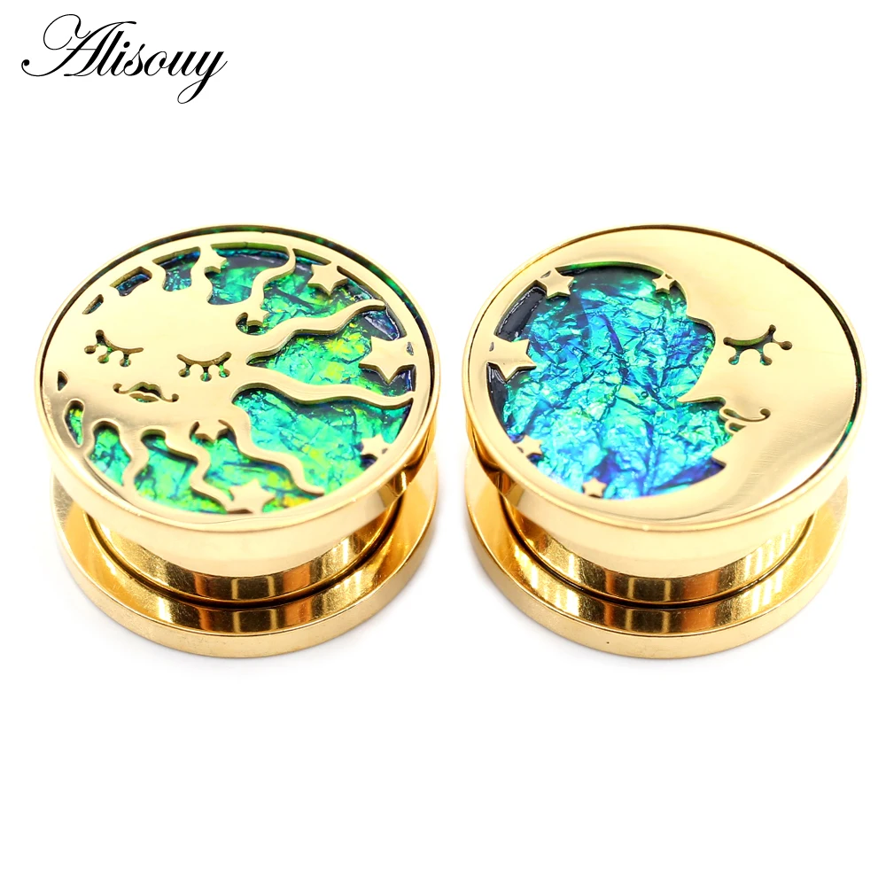 Alisouy 2PCS Stainless Steel Star Moon Sun Skull Cat Butterfly Ear Gauges Tunnels Plugs Expander Stretcher Piercing Body Jewelry