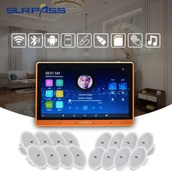 Smart Stereo Wall Amplifier BT WiFi Android Class D Digital Sound Subwoofer Audio PA Ceiling Speaker Home Theater System