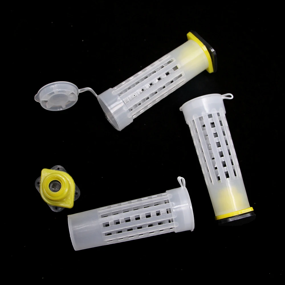 200 sztuk hurtownie królowa chowing plastikowe Virgin Sealed Cell Larva Protection wałek do włosów klatka osłona przekładnia baza Bee Farm Supplies