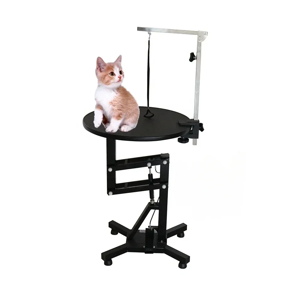 Hot selling BPM-ET111V custom stainless steel electronic dog accessories pet grooming table hydraulic