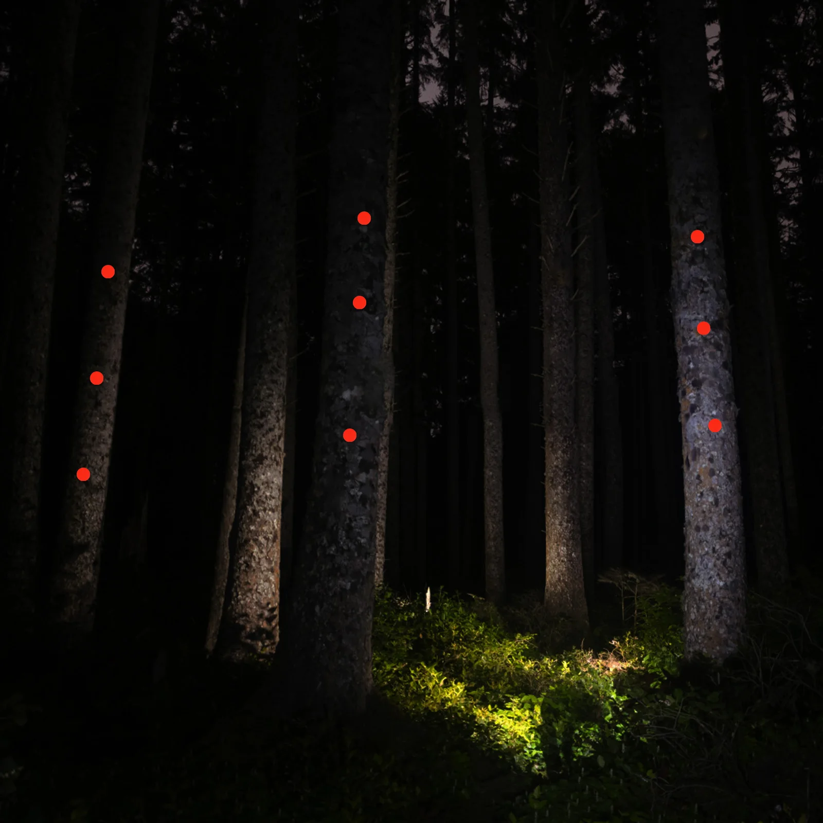 

50Pcs Reflective Thumb Tacks Trail Markers Flat Head Hiking Camping Glow Push Pins Metal Outdoor Night Visibility