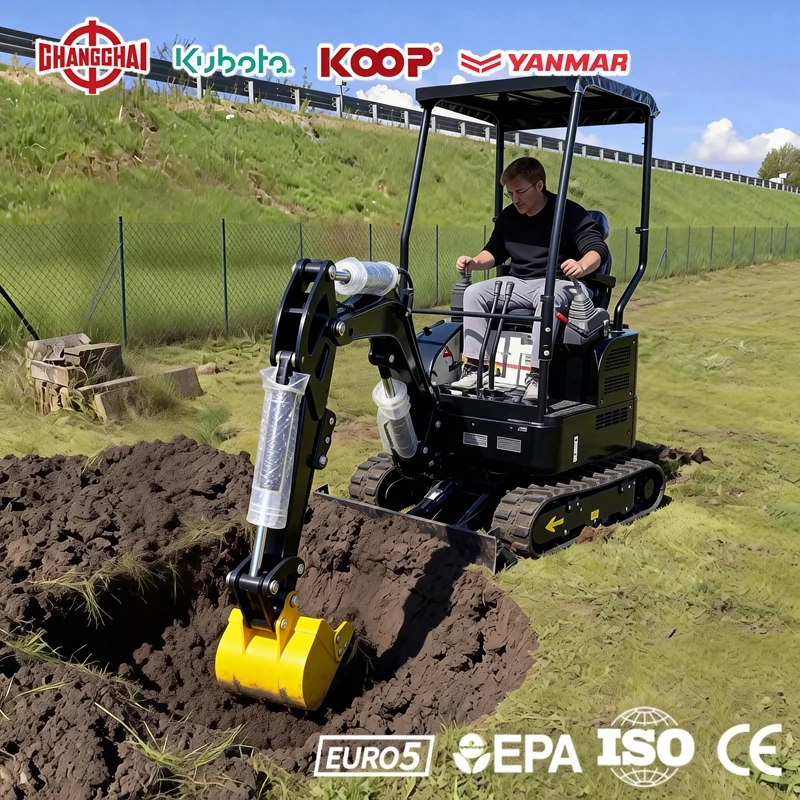 

1.9Ton mini excavator kubota engine Epa/Euro 5 Europe Construction Agricultural mini excavators 2.5t digger