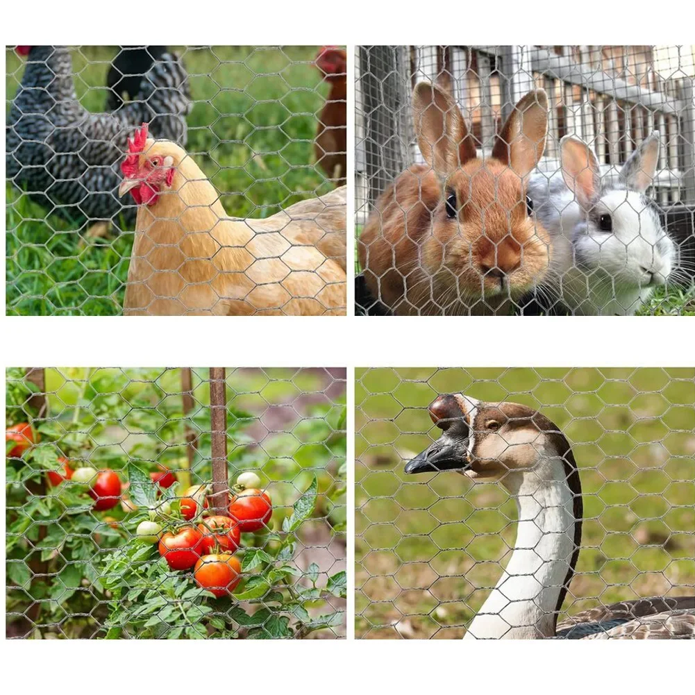 Poultry galvanized chicken wire mesh hexagonal steel fence for garden protection DIY friendly easy to trim and fit