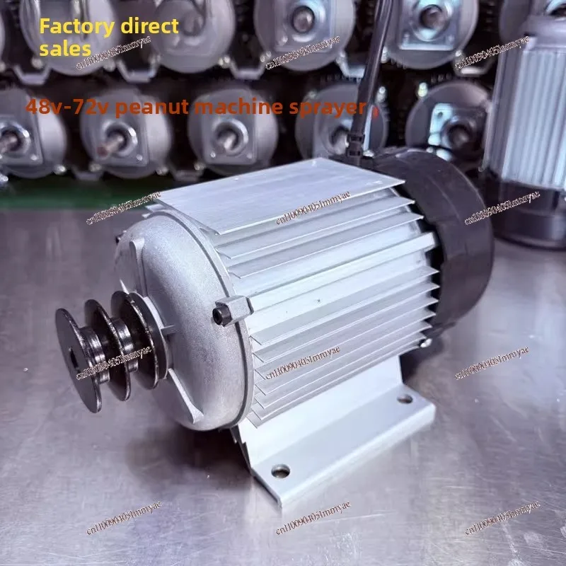 48-72V permanent magnet DC brushless motor fruit picker plunger pump oil to electricity