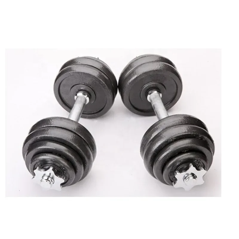 Adjustable Fitness Dumbbell Set for Home Gym Weight Lifting-Customizable Color & Size Professional Training Gear Hot Sale