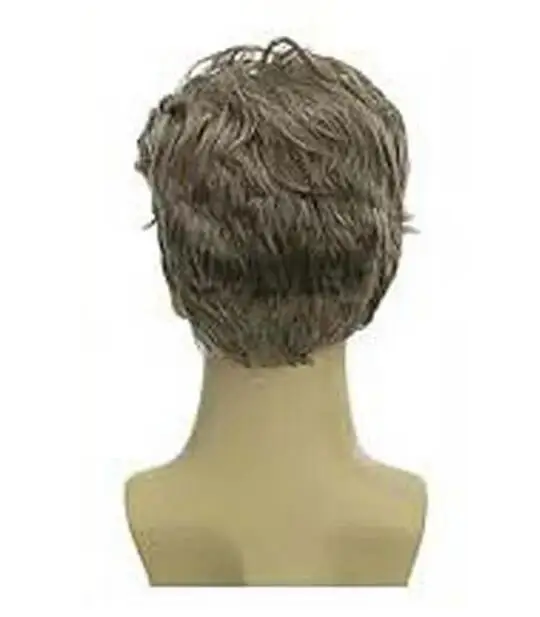 Perruques Synthétiques Grises Dorées pour Hommes, Coupe Courte, Faux Cheveux, Aspect Moelleux, ixCosplay, 03 Utilisation