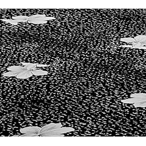 9 Main Sales Bed Box Single - №5