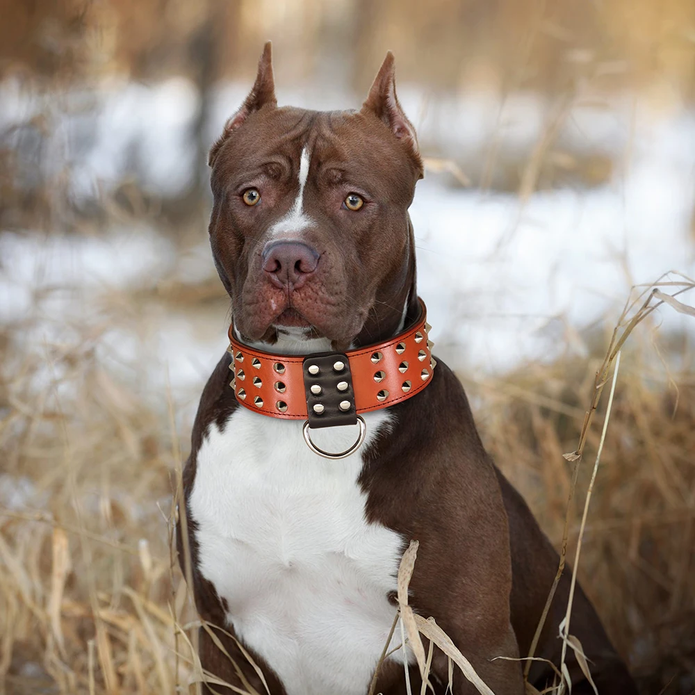 Spiked Studded Big Dog Collar Genuine Leather Wide Collars For Medium Large Dogs Rottweiler Pitbull Anti-Bite Collars Necklaces