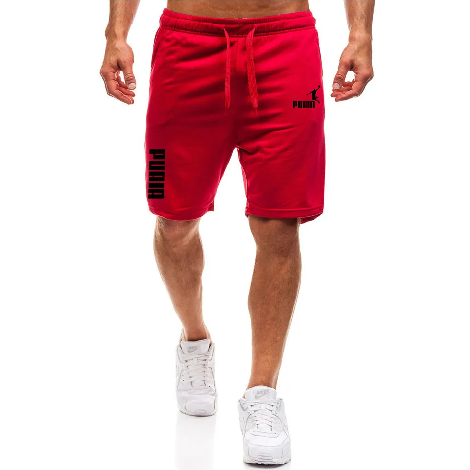 Masculino Casual Fino Running Shorts, Jogging Treino, Fitness Sweatpants, Roupas de Verão, Roupa Nova, Tamanho S-3XL