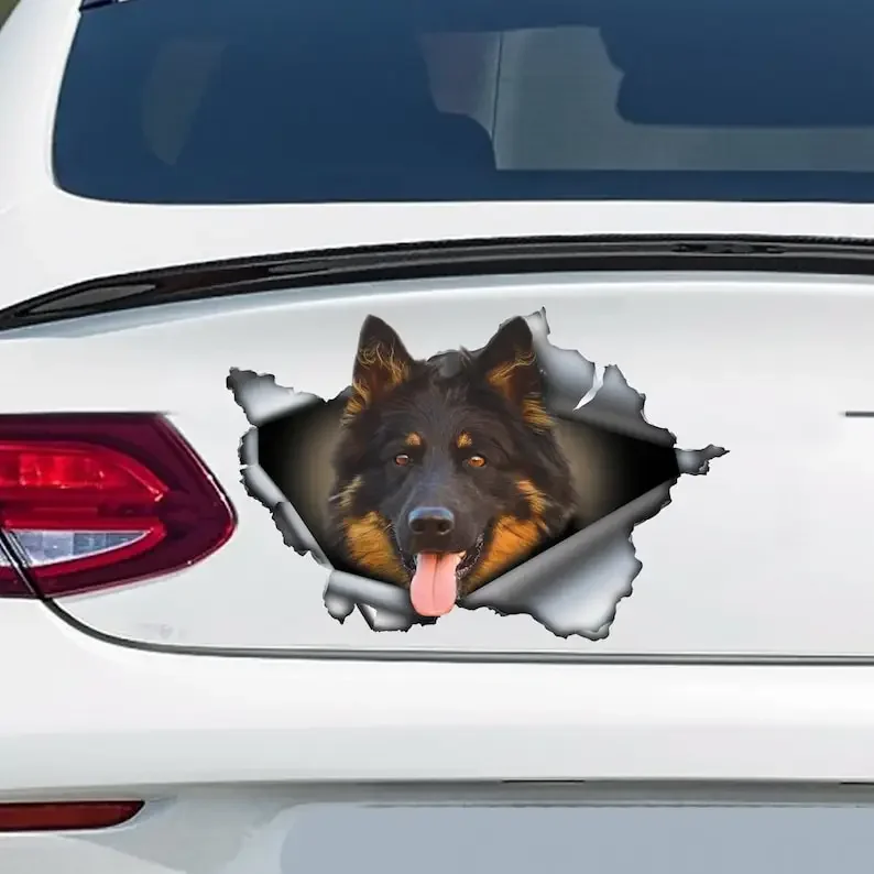 Chodsky pes car decal, Chodsky pes magnet, Chodsky pes sticker