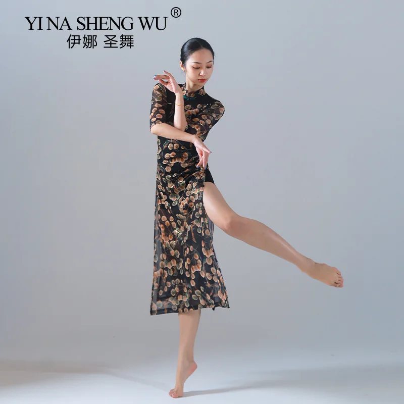 New Plum-printed Cheongsam-style Long Dress Performance Clothes Classical Dance Dance Clothes High Fork Lace Practice Clothes