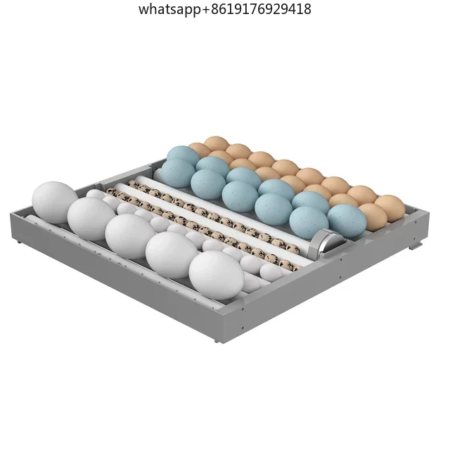 آلة تفريخ حاضنة البيض الأوتوماتيكية الرخيصة 256 بيضة للبيع