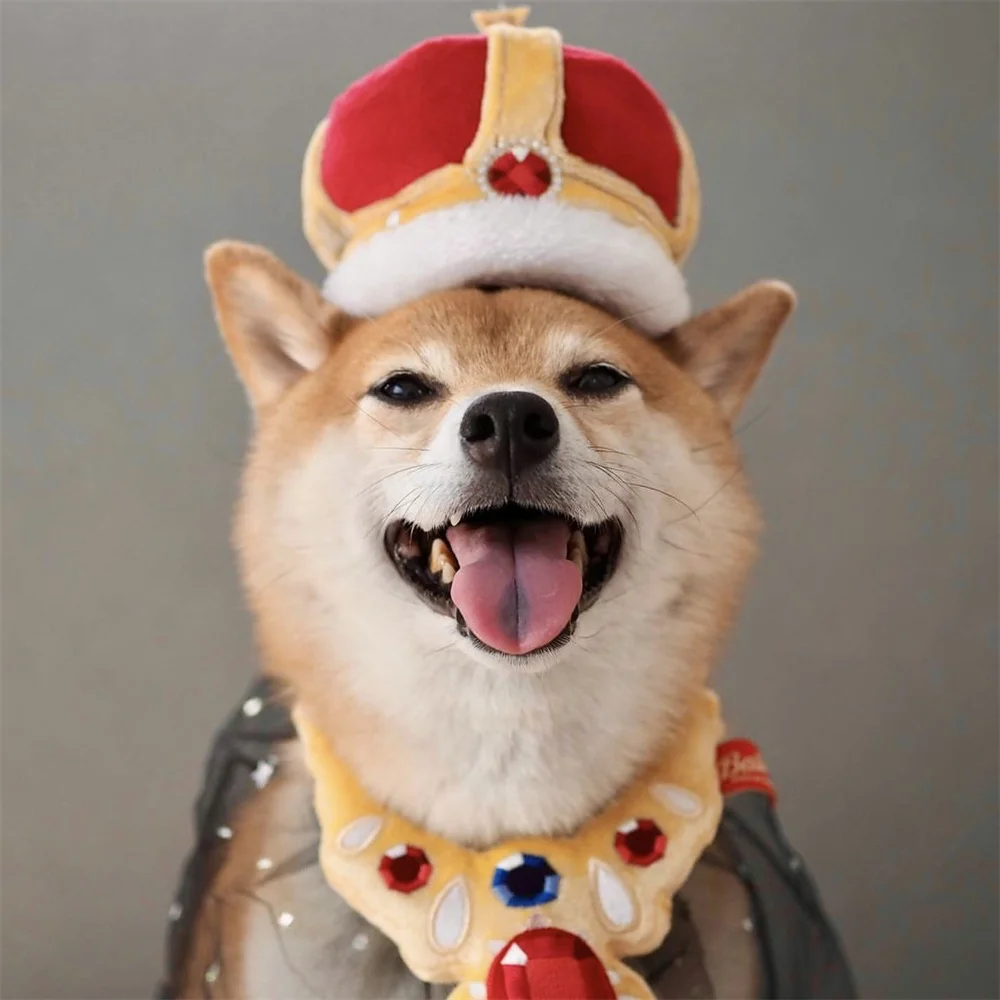 Cute Pet Costume Crown Necklace King Cosplay Cloth for Small Dog Puppy Cat Party Dress Up Photo Props Pets Accessories 2024