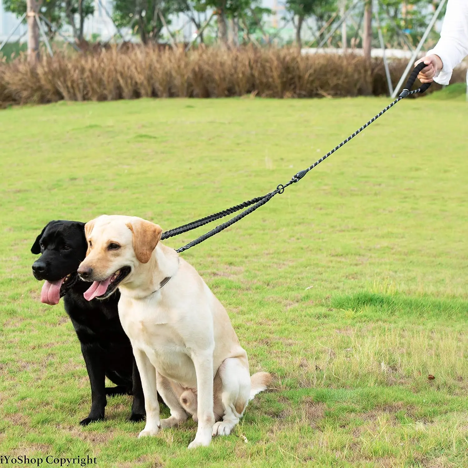 Doppelte Hundeleine, doppelte Hundeleine, 360° drehbare Gehleine ohne Verwicklung, stoßdämpfendes Bungee für zwei Hunde – Detail 8