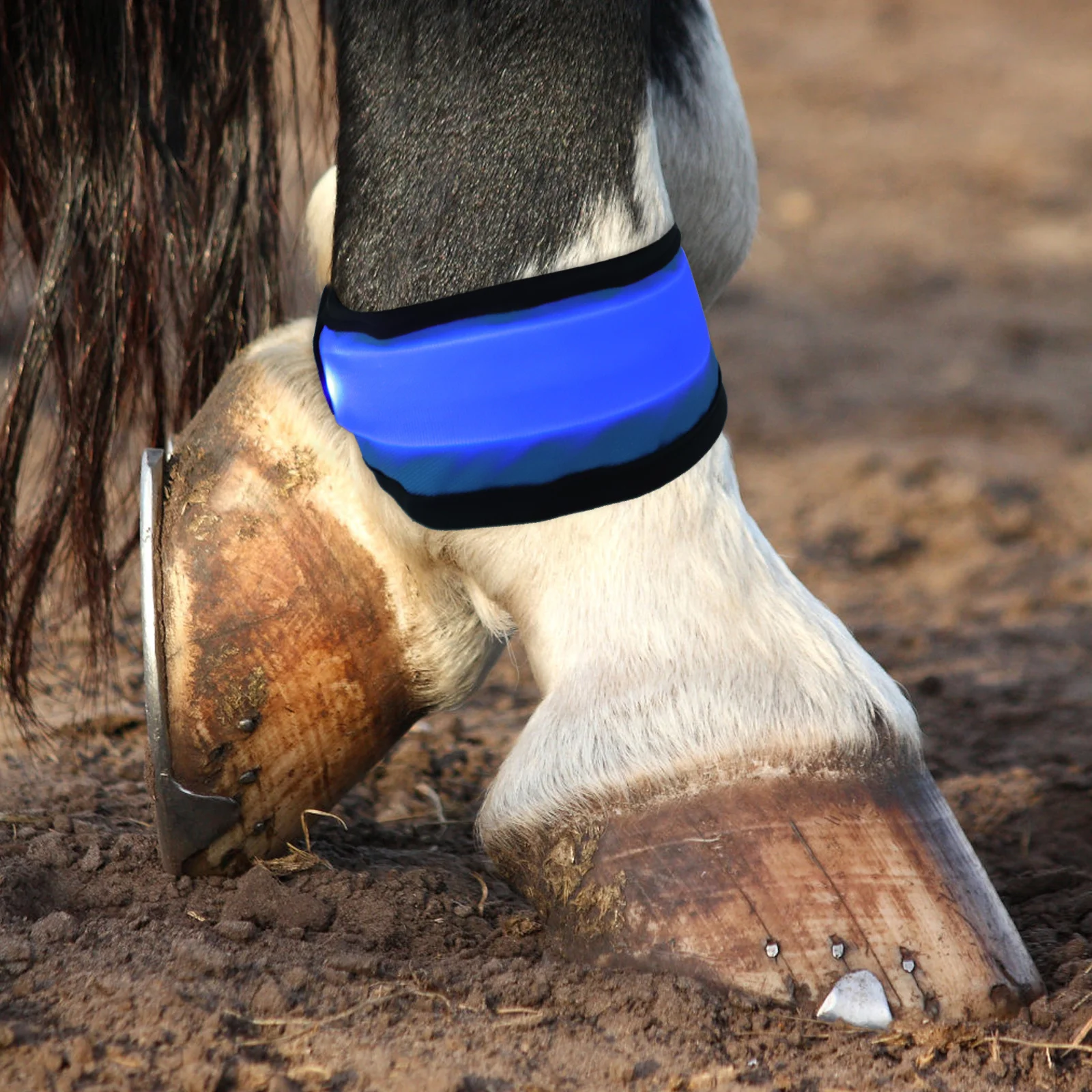 4Pcs LED Horse Leg Band Parts Adjustable Horse Riding Accessories Outdoor Riding Supplies High Visibility Night Straps