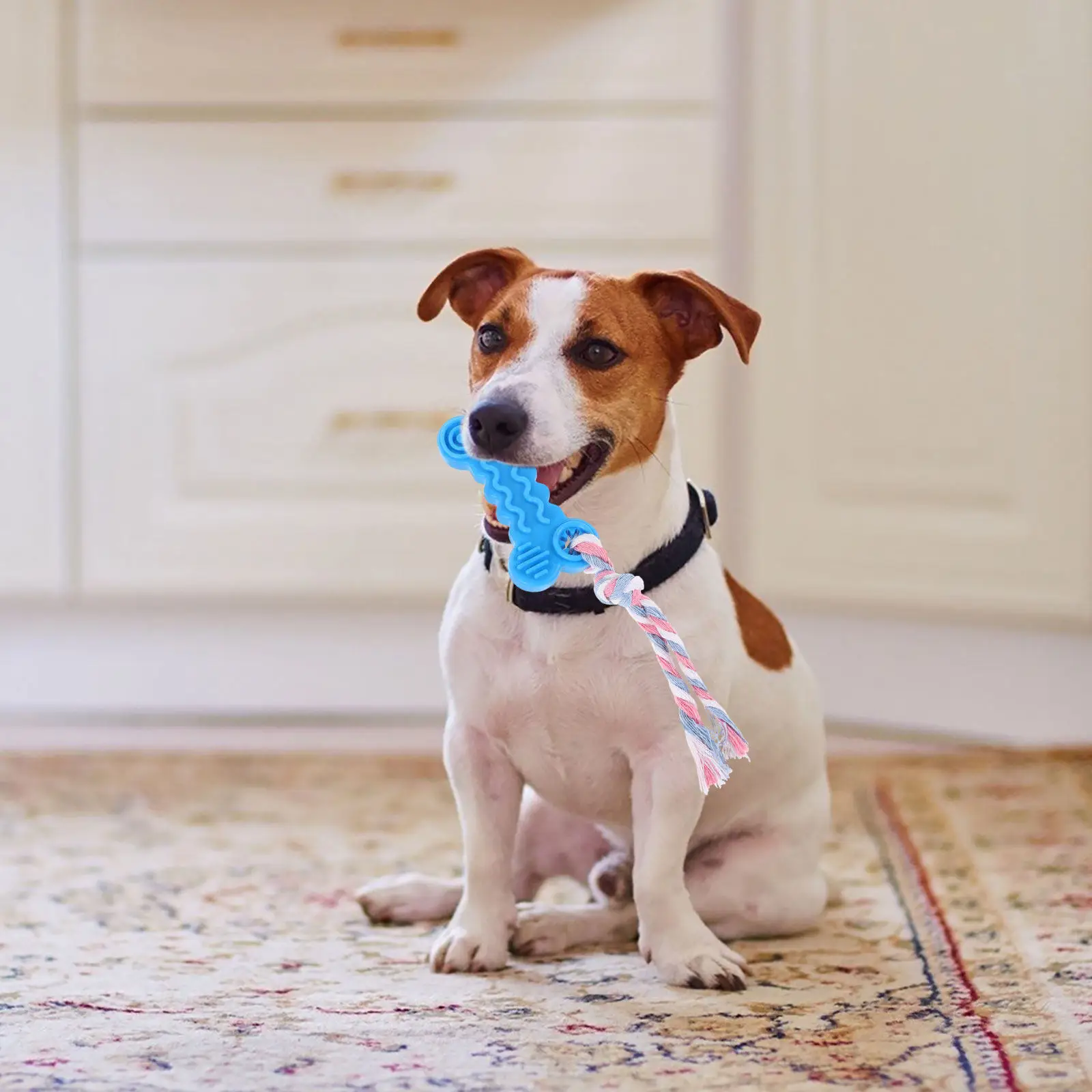 Bone Shape Rubber Ball Rope Dog Chew Bite Resistance Tooth Cleaning Molar Effective Plaque Removal for Pets Random Color