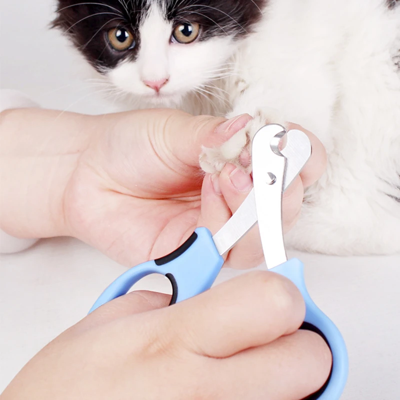 ความปลอดภัยสูง Professional Pet Nail Trimmer ผลิตภัณฑ์อุปกรณ์เสริมสําหรับสัตว์เลี้ยง Sharp Safety Cat Dog Nail Clippers พร้อมตะไบเล็บฟรี