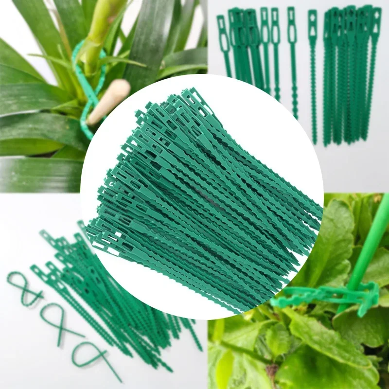 20/50/100pcs Reusable Garden Cable Ties Adjustable Plastic Cable Ties Tools Plant Support Shrubs Fastener Tree Locking Nylon